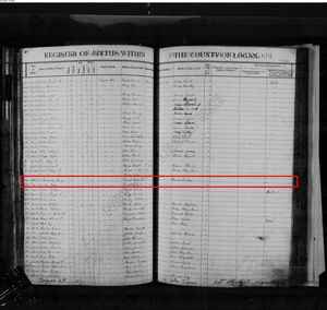 1874 Moses S Ferrell WV Birth Register