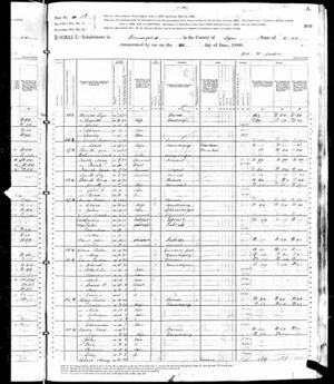 1880 Census Elijah Ferrell