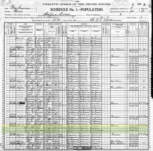 1900 Census