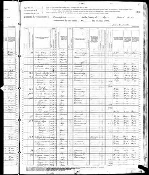1880 Census Lige Ferrell