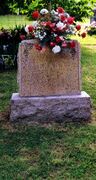 Will L and Media Craig Gravestone.jpg