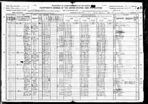 1920 Census Moses Ferrell