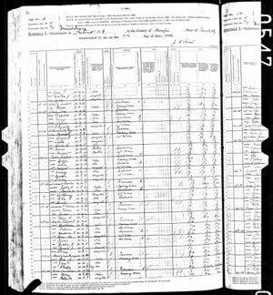 1880 Census Hiram DeRossett