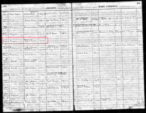 459 Mingo WV Post Master Elight S Ferrell 12 Jun 1891.png