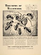 GR bugs ad 1937.jpeg